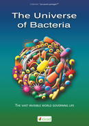 The Universe of Bacteria